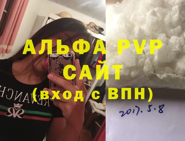 стафф Алексин