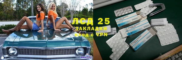 стафф Алексин